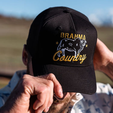 Brahma Country Hat